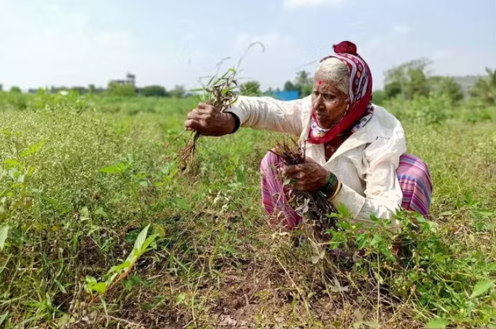 Godrej Agrovet's CSR Initiative Supports Women Farmers Across Nine Cotton Districts